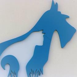 Daroczi Vet Clinic