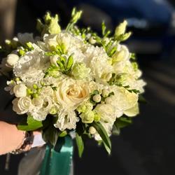 Floraria Laura