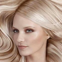 Salon Evolution by M.C