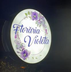 Floraria Violeta