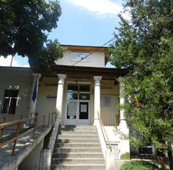 Primăria Comunei Vedea