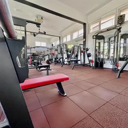 Body Tuning
