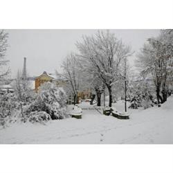 Pensiune La conu' IANCU