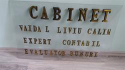 Expert contabil - expert evaluator Vaida L Liviu Calin