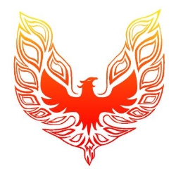 Phoenix therapy - Cabinet terapeutic