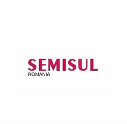 SEMISUL