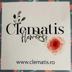 Floraria Clematis
