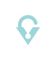 Vector Security Romania