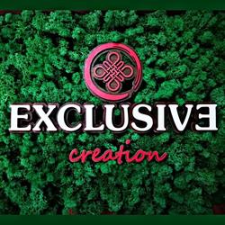 Exclusive Creation