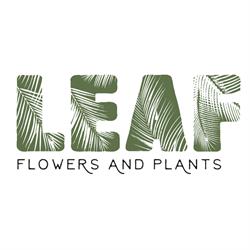 Leaf Shop