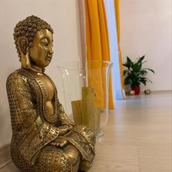 Yoga Sibiu Studio - Sacred Arts