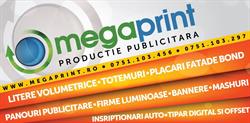MegaPrint