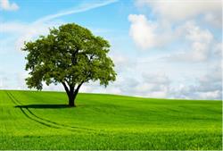 Clean Green Energy