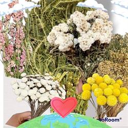 Depo Decor Floral