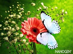Nanogen Romania