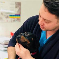 Cabinet Veterinar Picovet