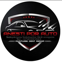 ANESTI PDR AUTO