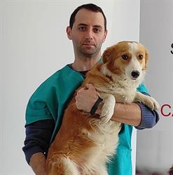 Cabinet Veterinar Cuore Pet Vet