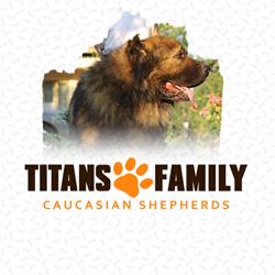 Titans Family - Caucasian Shepherd Dogs