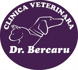 Dr. Bercaru