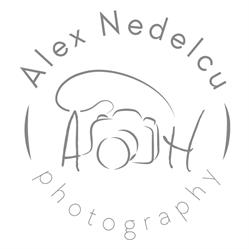Şedinte foto newborn, copii şi maternitate - Alex Nedelcu Photography