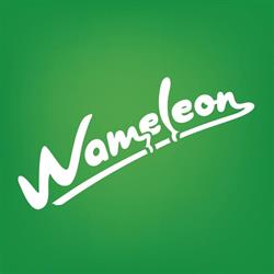 Wameleon Design - Design studio