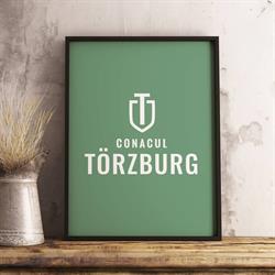 Conacul Törzburg