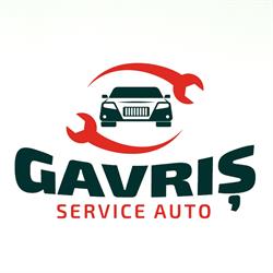 Service Auto Gavris