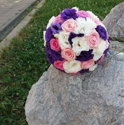Floraria cu Fluturi