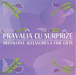 Prăvălia cu Surprize