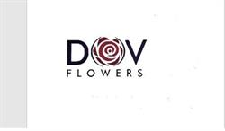 Dov flowers