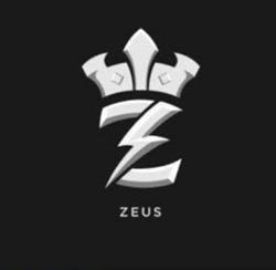Complex ZEUS