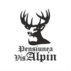 Pensiunea Vis Alpin