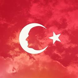 Asociatia Suporterilor Fenerbahce - Romanya Fenerbahceliler Dernegi