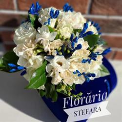 Floraria Stefara