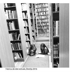 Biblioteca Judeţeană George Coşbuc
