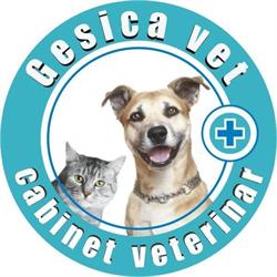 Gesica Vet&Co service