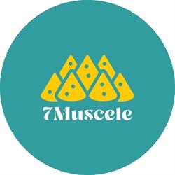 7 Muscele