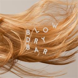 blowdrybar