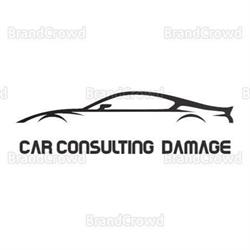 Car Consulting Damage