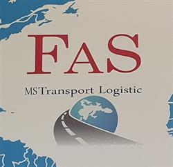 FAS PARK MS SRL