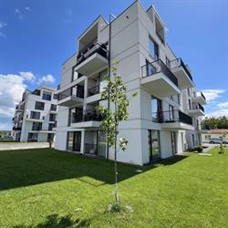 River Park Reghin