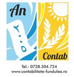 AN CONTAB SRL