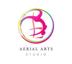 Aerial Arts