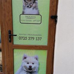 Frizerie canină Salon Fuffy