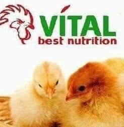 Vítal Best Nutrition