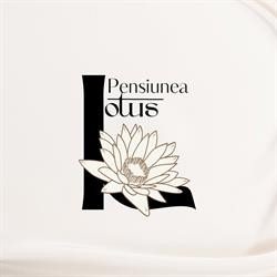 Pensiunea Lotus