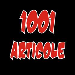 Magazinele 1001 Articole