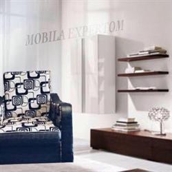 Mobila Expertom