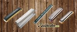 Muzicute